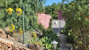 Un sendero de jardín con un muro de piedra, flores amarillas y una reja de metal.