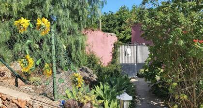 Bela Vista House - Quinta amoreira