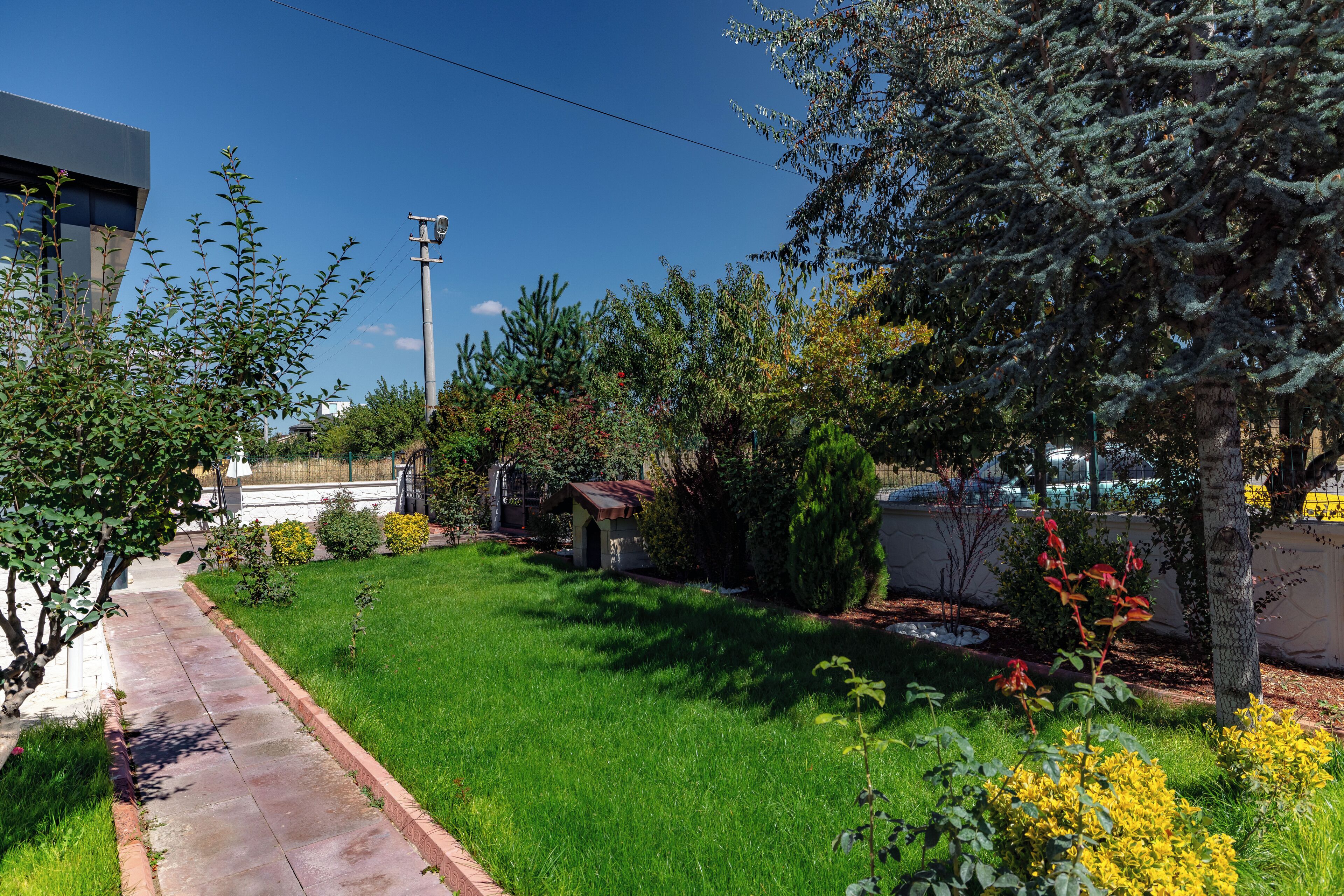 A residential garden with a paved walkway, various shrubs, and a small shed.