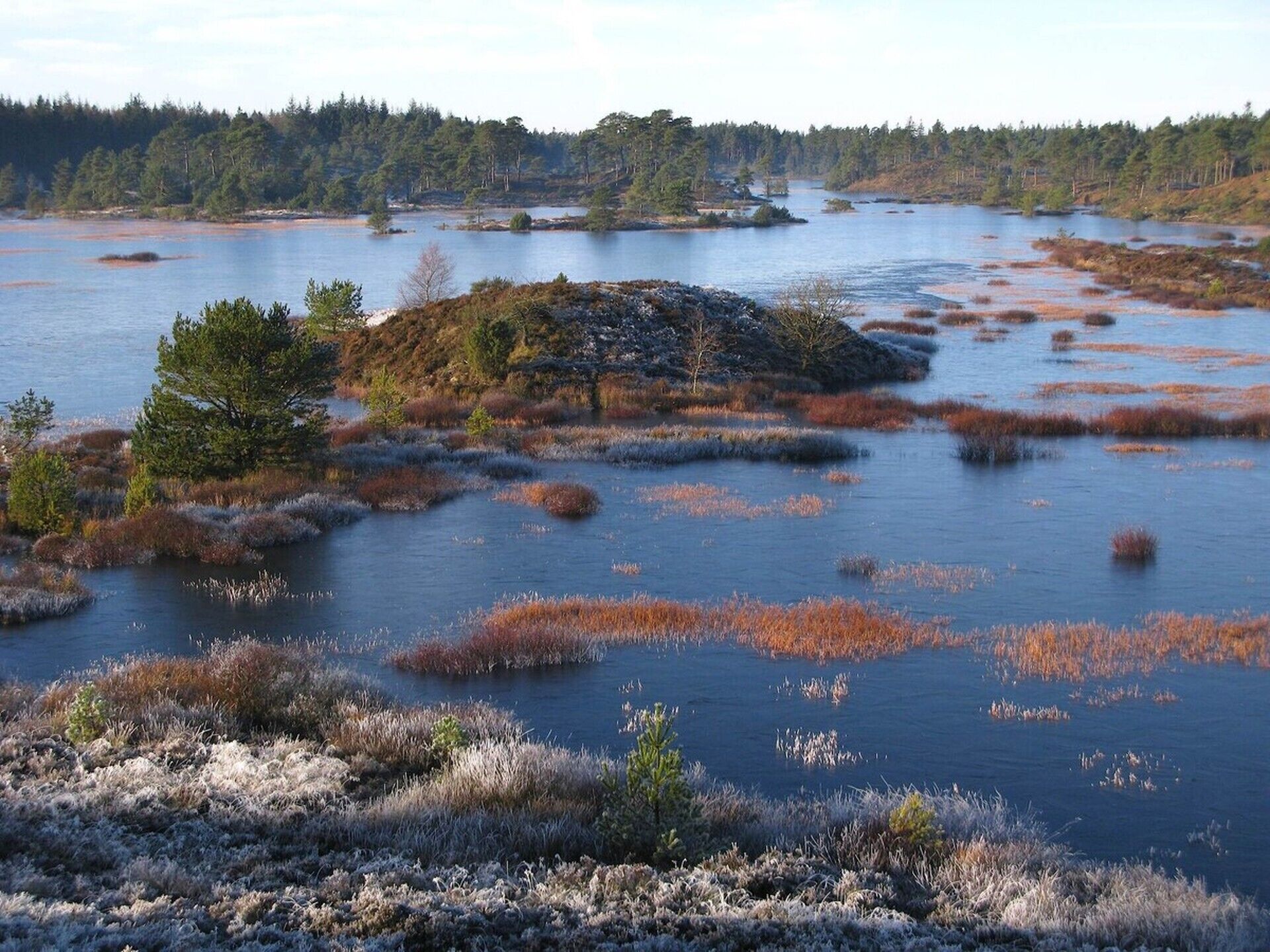 Un paysage naturel avec un lac entouré d’arbres et d’arbustes.