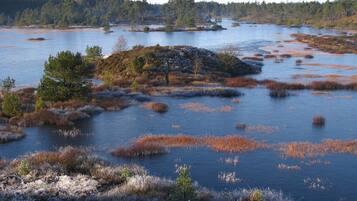 Un paysage naturel avec un lac entouré d’arbres et d’arbustes.