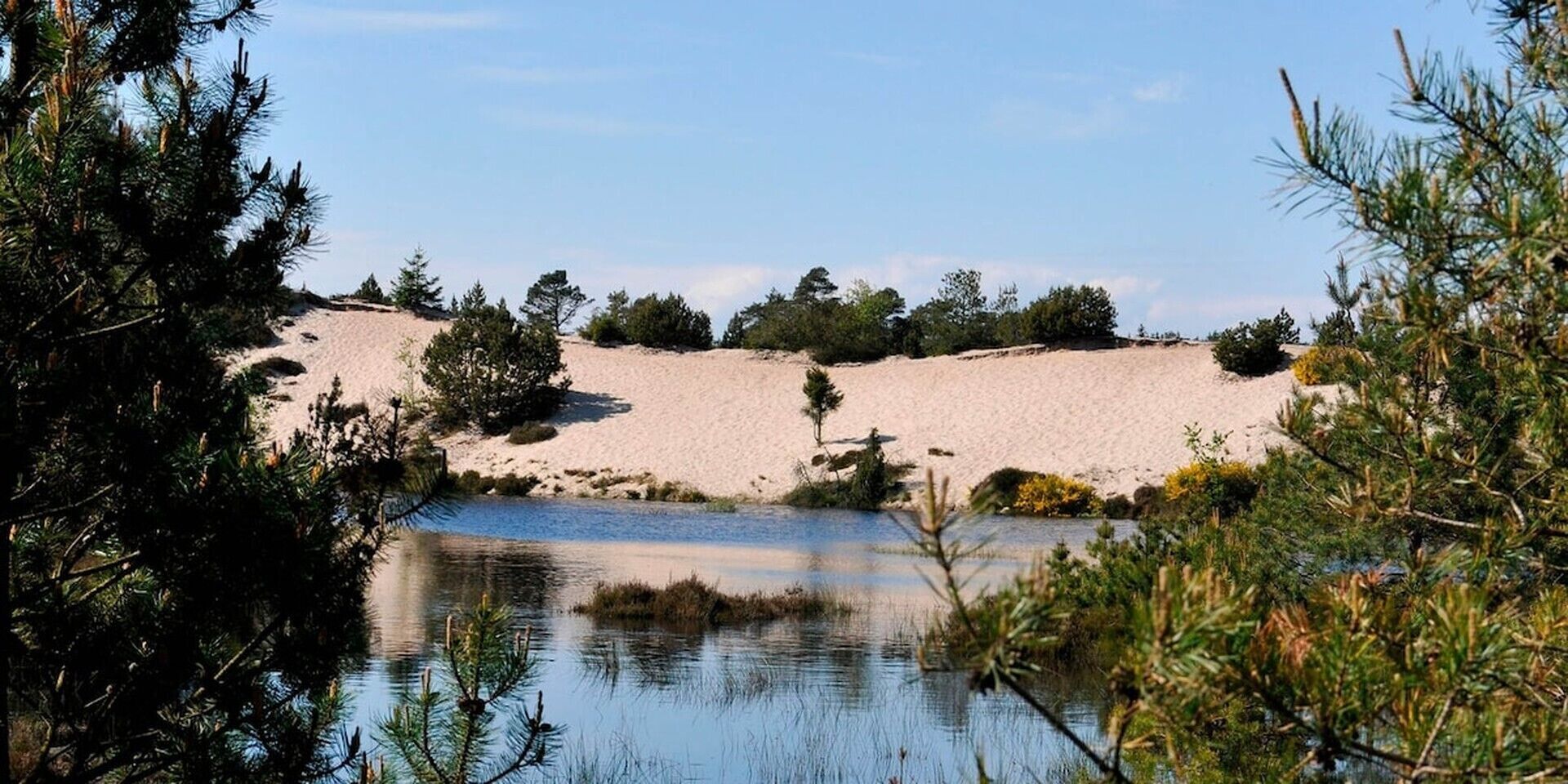A natural landscape with a body of water, sandy dunes, and sparse vegetation.