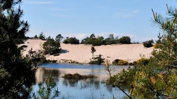 A natural landscape with a body of water, sandy dunes, and sparse vegetation.