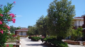 A residential area with a gravel driveway, brick walls, and various trees and shrubs.