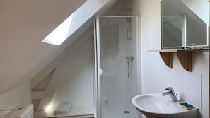 Shower, hair dryer