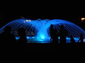Experience the mesmerizing display of water and light at this vibrant public space.