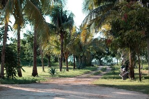 Façade de l ’hébergement 