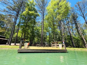 Property grounds - Only 10 minutes from I75 and the Ga National Fairgrounds in Perry (Montezuma)