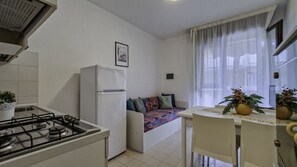 Fridge, stovetop, cookware/dishes/utensils