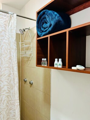 Shower, towels, soap, shampoo - Hotel Andrews Express (Ocampo)