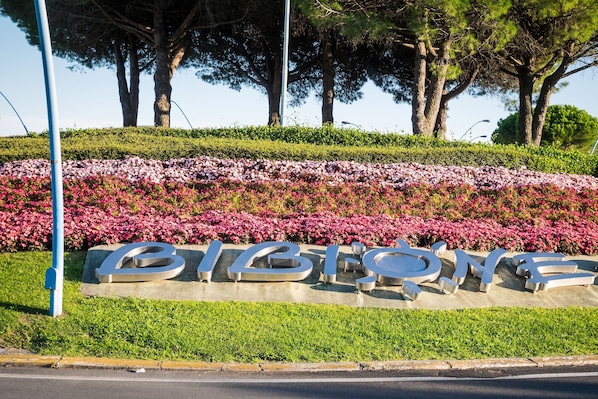 Àrea exterior de l'allotjament