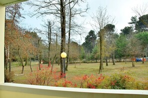 Blick aus einem Fenster auf einen Park mit Bäumen und einer Laterne.