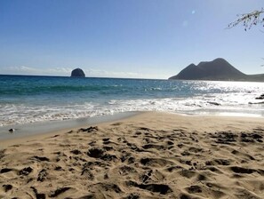 ビーチの近く、サンラウンジャー、ビーチタオル