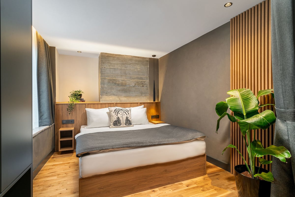 A modern bedroom with a wooden bed, a small bedside table, a potted plant, and a large window.