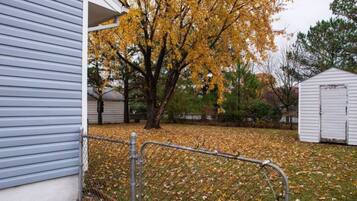 A residential property with a fenced yard, a tree with yellow leaves, and a shed.