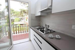 Fridge, stovetop, cookware/dishes/utensils