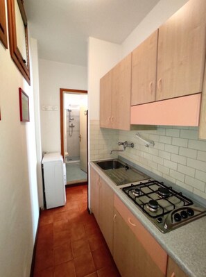 Geladeira, micro-ondas, cooktop, talheres/pratos/utensílios de cozinha