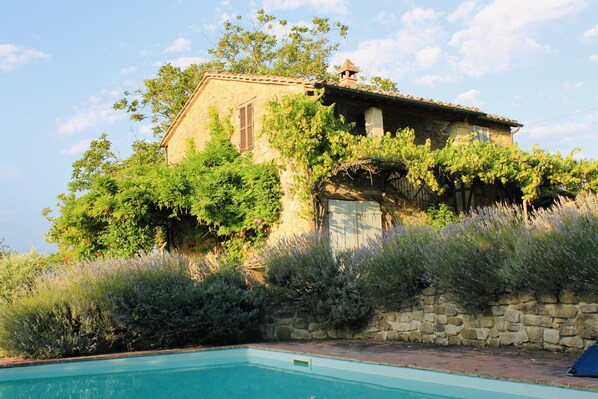 Pool - Rural Italian Farmhouse in Umbria with Private Pool & Garden (Villanova, Perugia)
