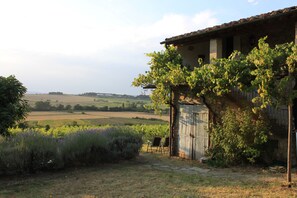 Property grounds - Rural Italian Farmhouse in Umbria with Private Pool & Garden (Villanova, Perugia)
