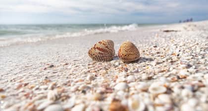 Coastal Two-Story Home | On Water w/ Pool/Dock