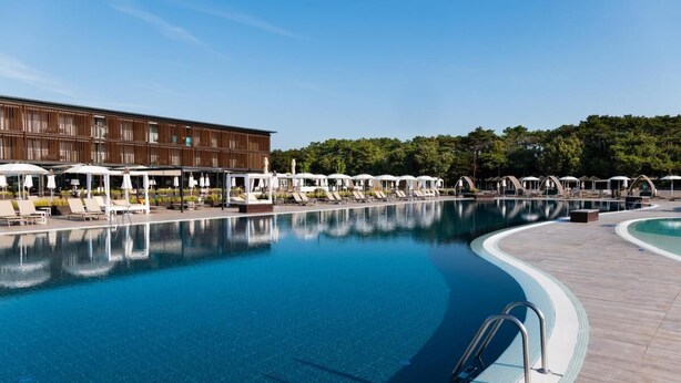 A swimming pool with lounge chairs and umbrellas, a wooden building, and a forested area in the background.