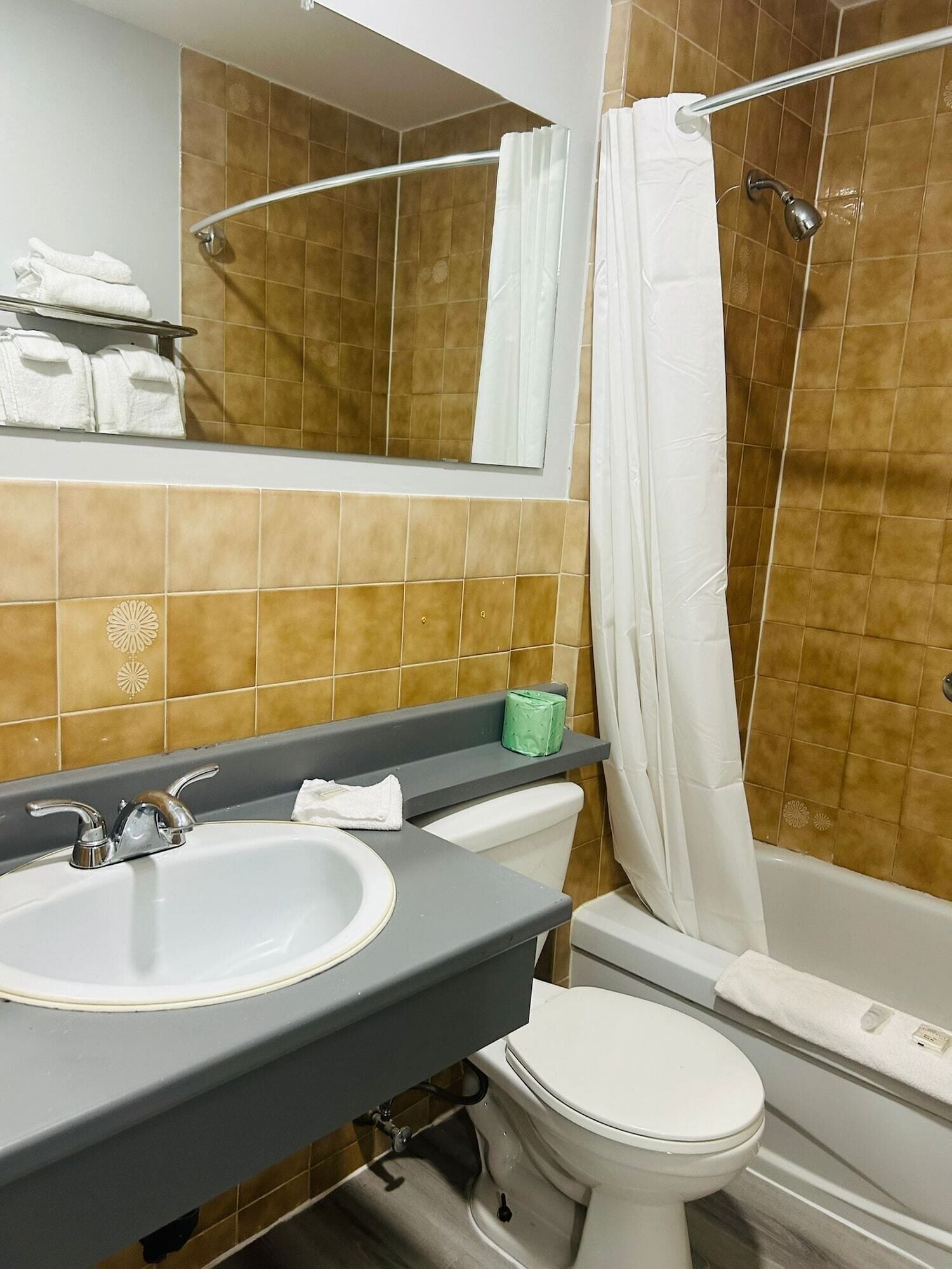 Hair dryer, towels, soap, shampoo