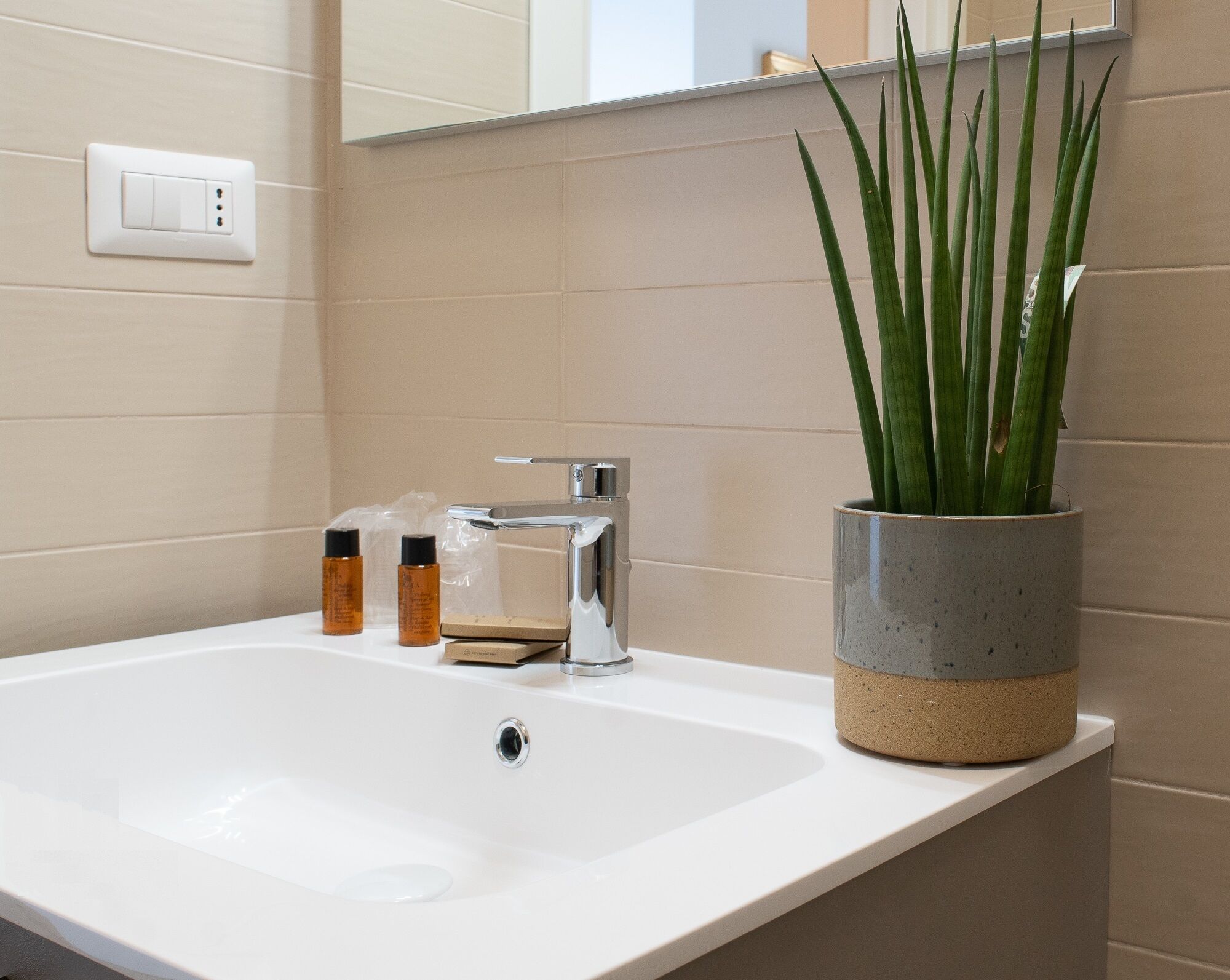 Une salle de bain avec un lavabo blanc, un robinet chromé et une plante en pot.