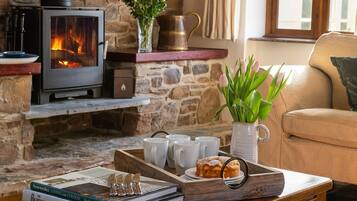 TV connectée, cheminée, lecteur de DVD, baby-foot