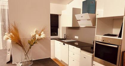 Living in the heart of Heidelberg