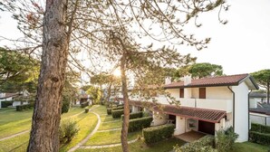 Un quartier résidentiel avec des maisons modernes, des pelouses bien entretenues et un chemin clairement délimité.