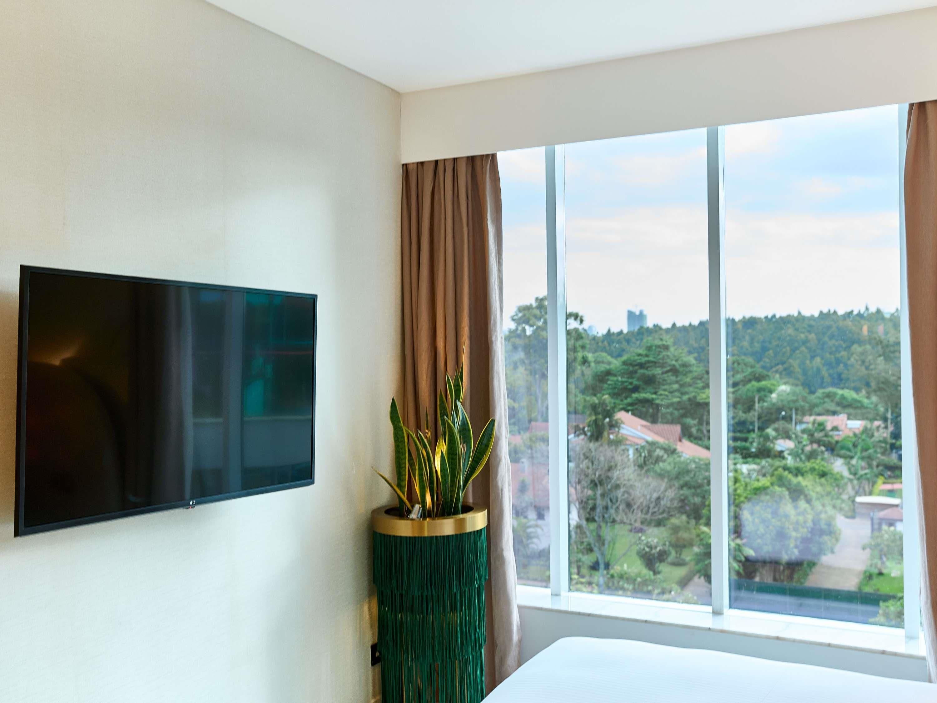 A hotel room with a large window, a flat-screen TV mounted on the wall, and a green plant in a decorative pot.
