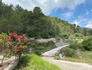 Une route de campagne bordée d’un côté par un mur de pierres et de l’autre par une végétation luxuriante.