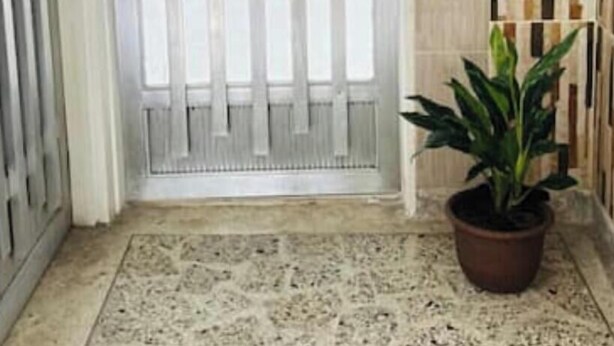 A door with vertical bars, a potted plant beside it, and a tiled floor.