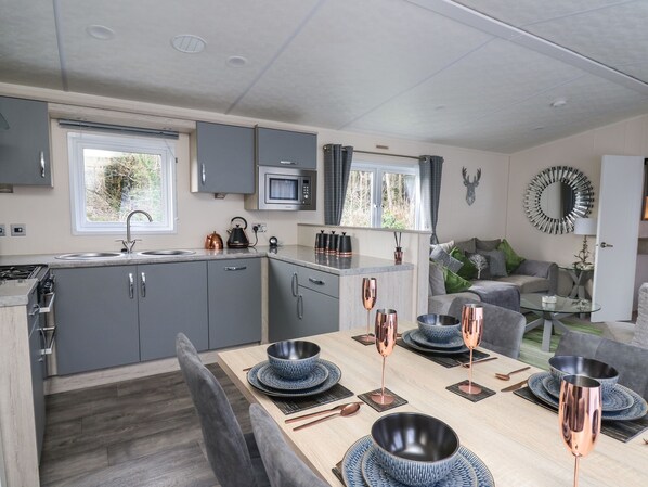 Fridge, dishwasher, electric kettle, toaster - 43 The Deri (New Quay)