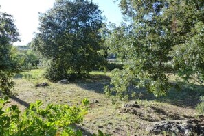 Property grounds - Family villa with pool in absolute calm

 (Tavernes)