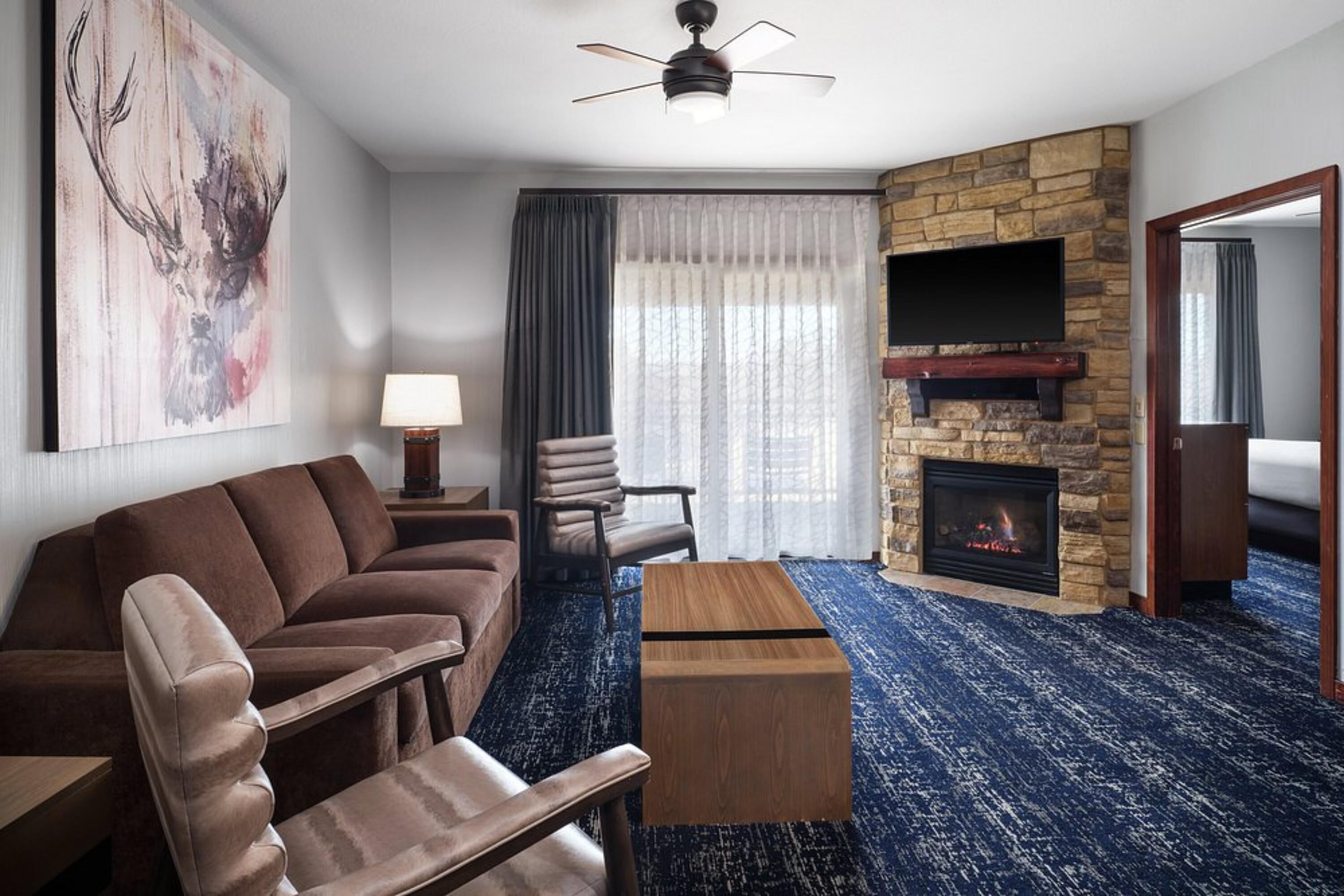 TV, fireplace, video games, DVD player