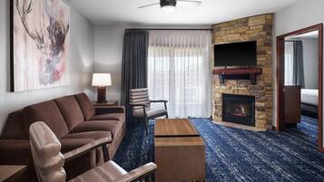 TV, fireplace, video games, DVD player