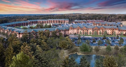 2Bed/2Bath Deluxe Suite at our Dells Resort w/Access to Wilderness Territory!