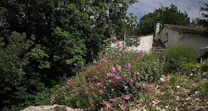 Vue Magnifique Isolée Piscine Privée et Jacuzzi Animaux Acceptés