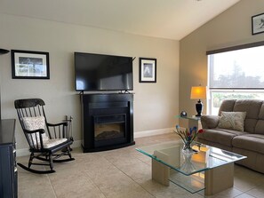 Smart TV, fireplace, DVD player, books