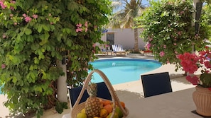 Outdoor pool - Amour Sénégal (Ngaparou)