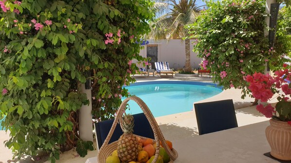 Outdoor pool - Amour Sénégal (Ngaparou)