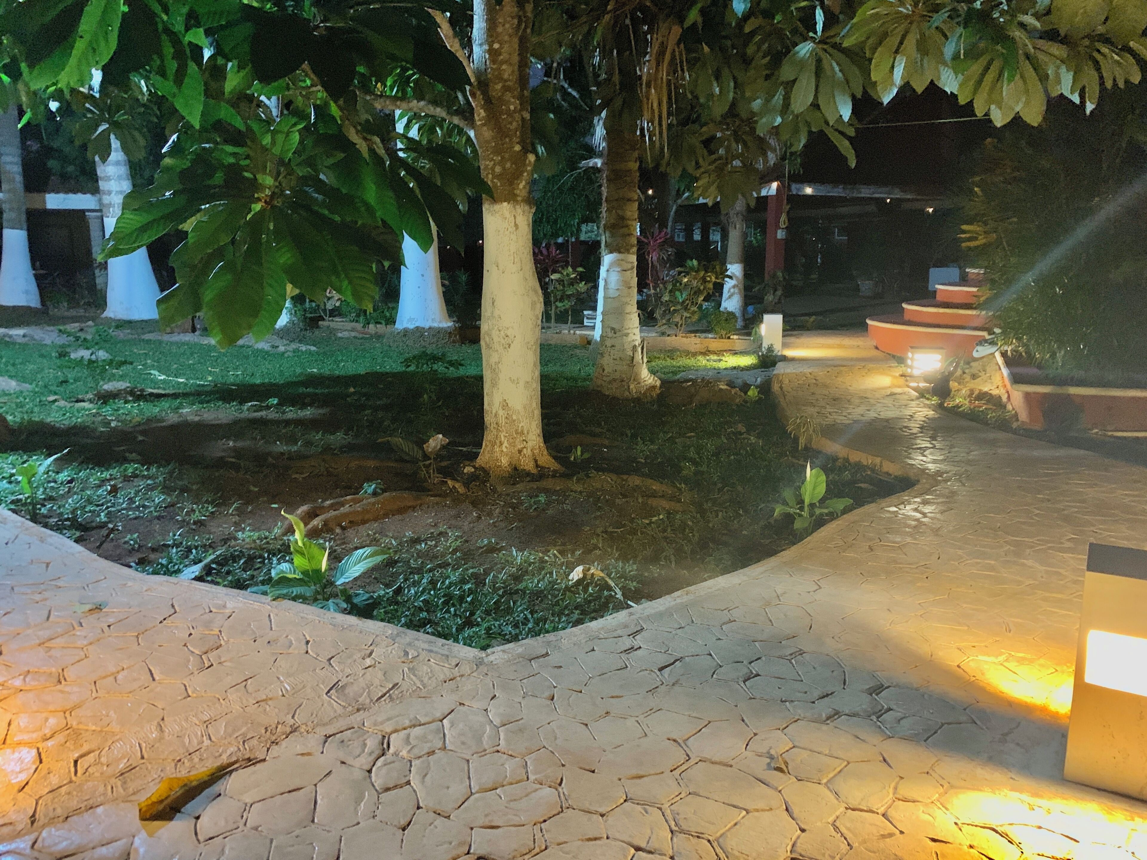 Un sendero pavimentado que conduce a un edificio, rodeado de árboles y follaje.