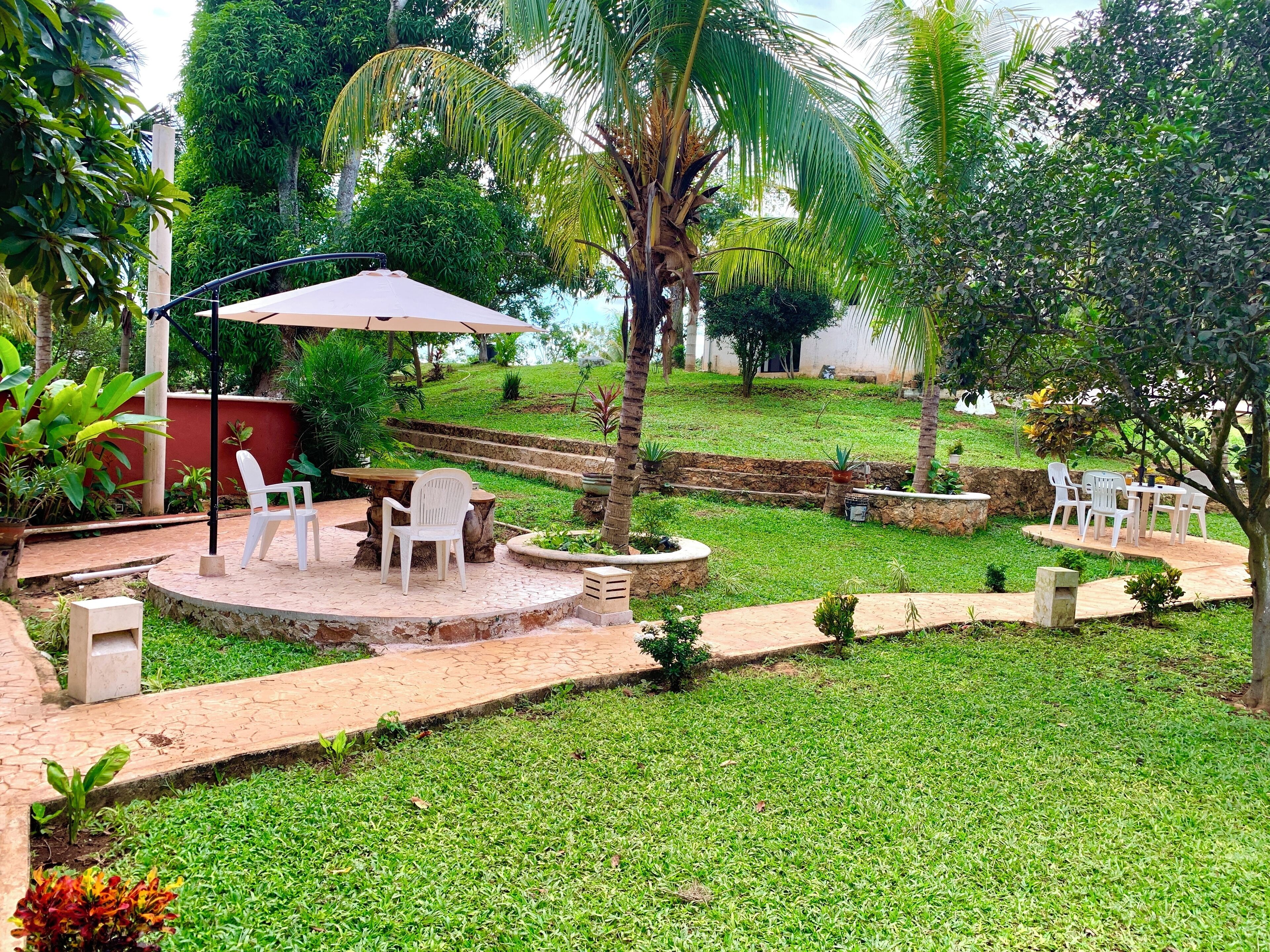 A patio area with a table and chairs, surrounded by lush greenery and palm trees.