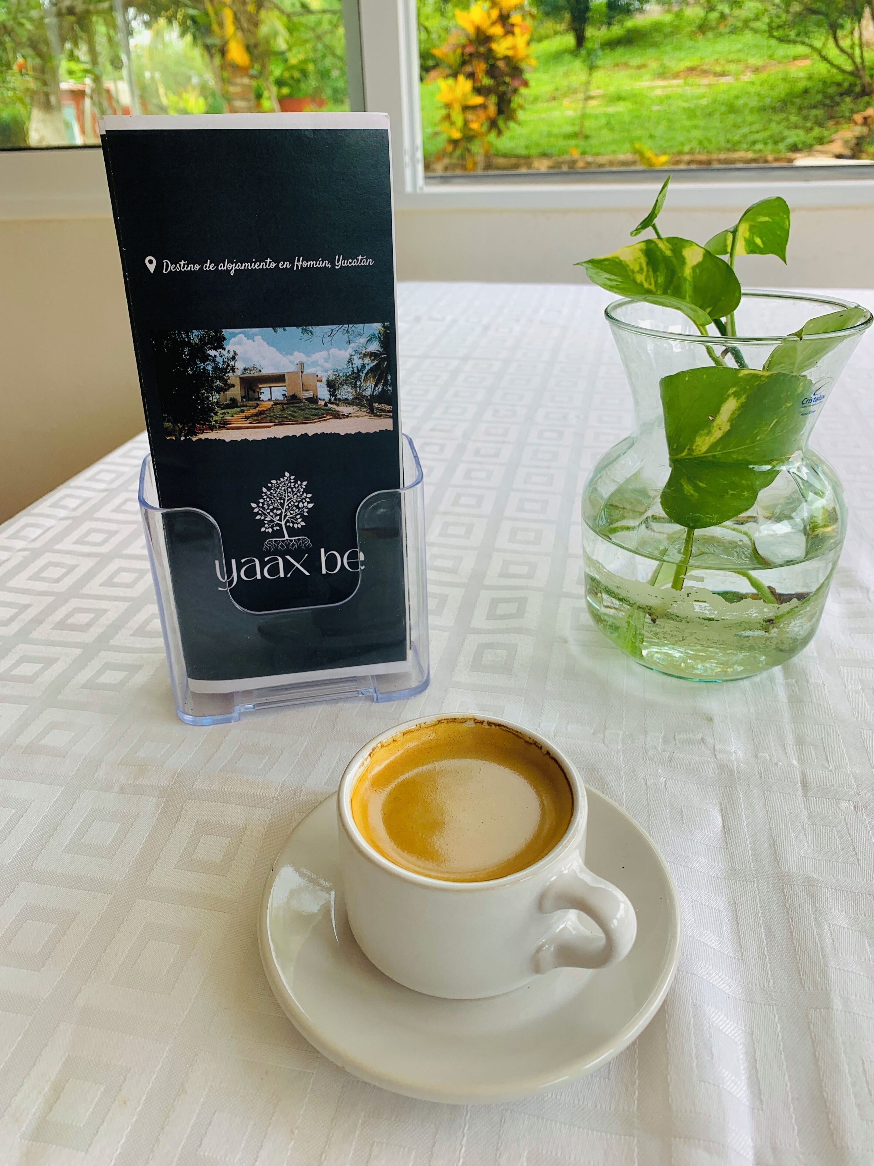 A brochure titled "yaax be" on a table next to a cup of coffee and a glass vase with a plant.