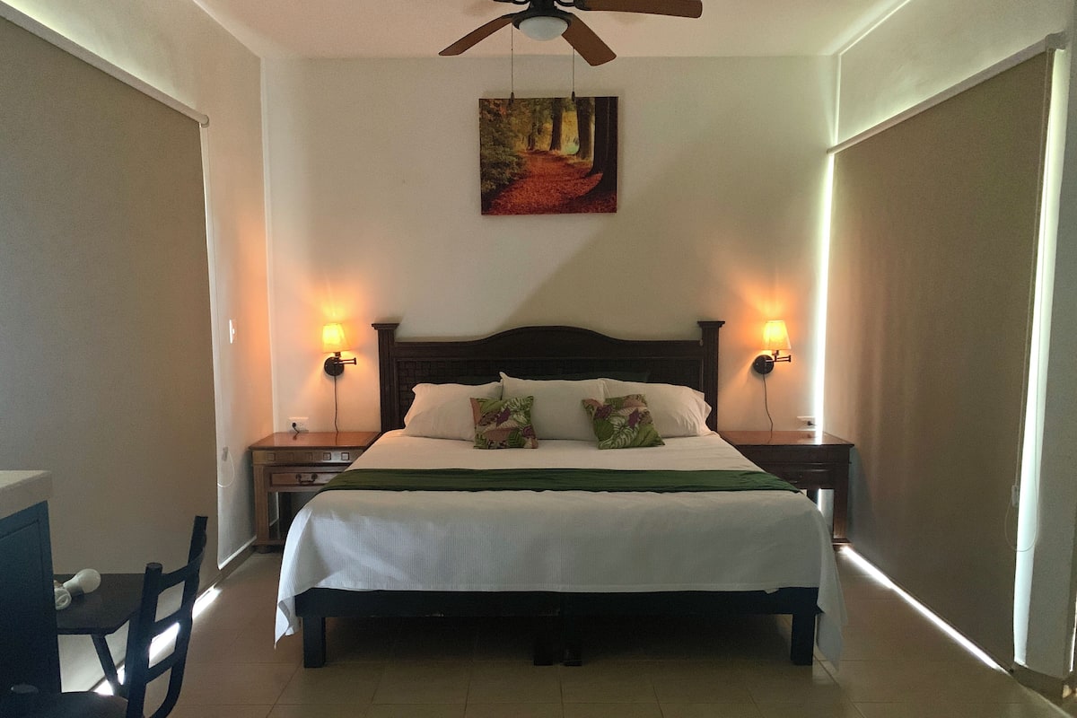 1 habitación, cubrecamas, minibar y cortinas blackout