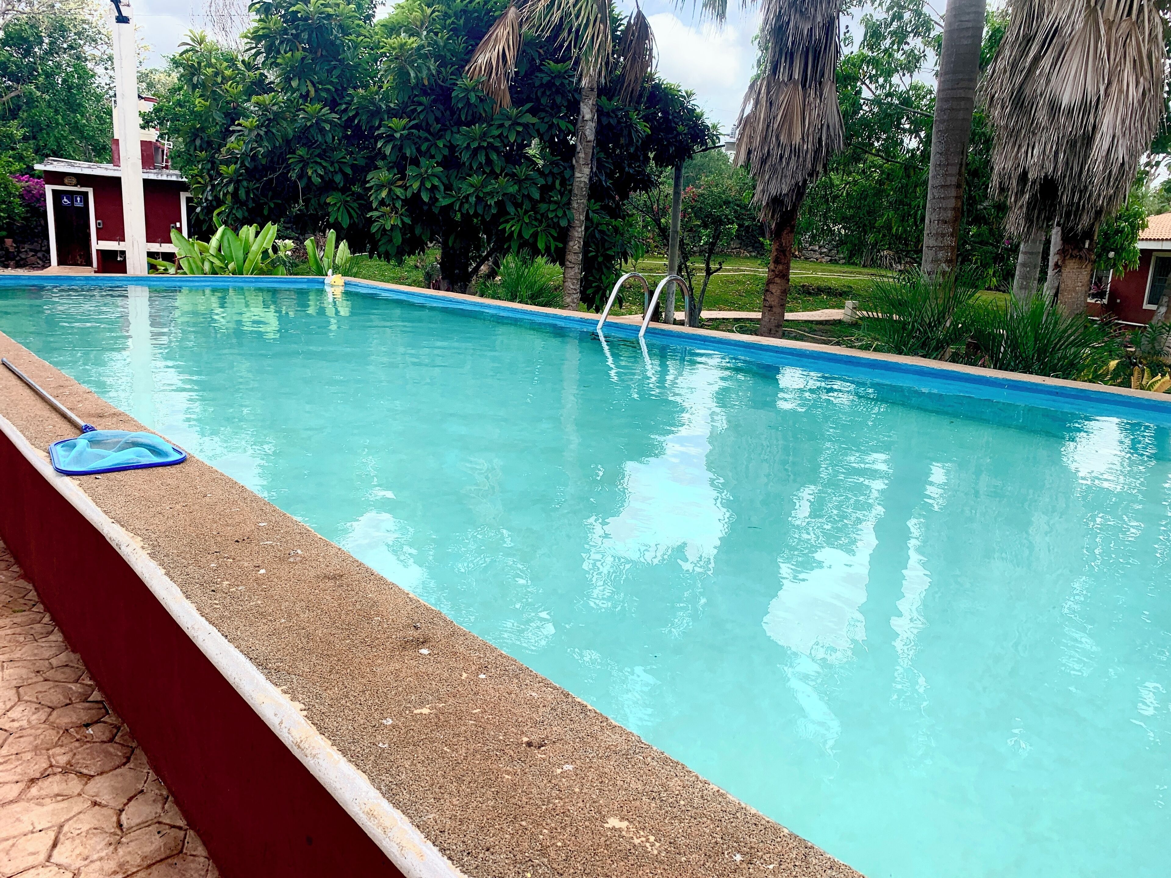 Ein Swimmingpool mit roter Umrandung, umgeben von üppiger Vegetation und Palmen.