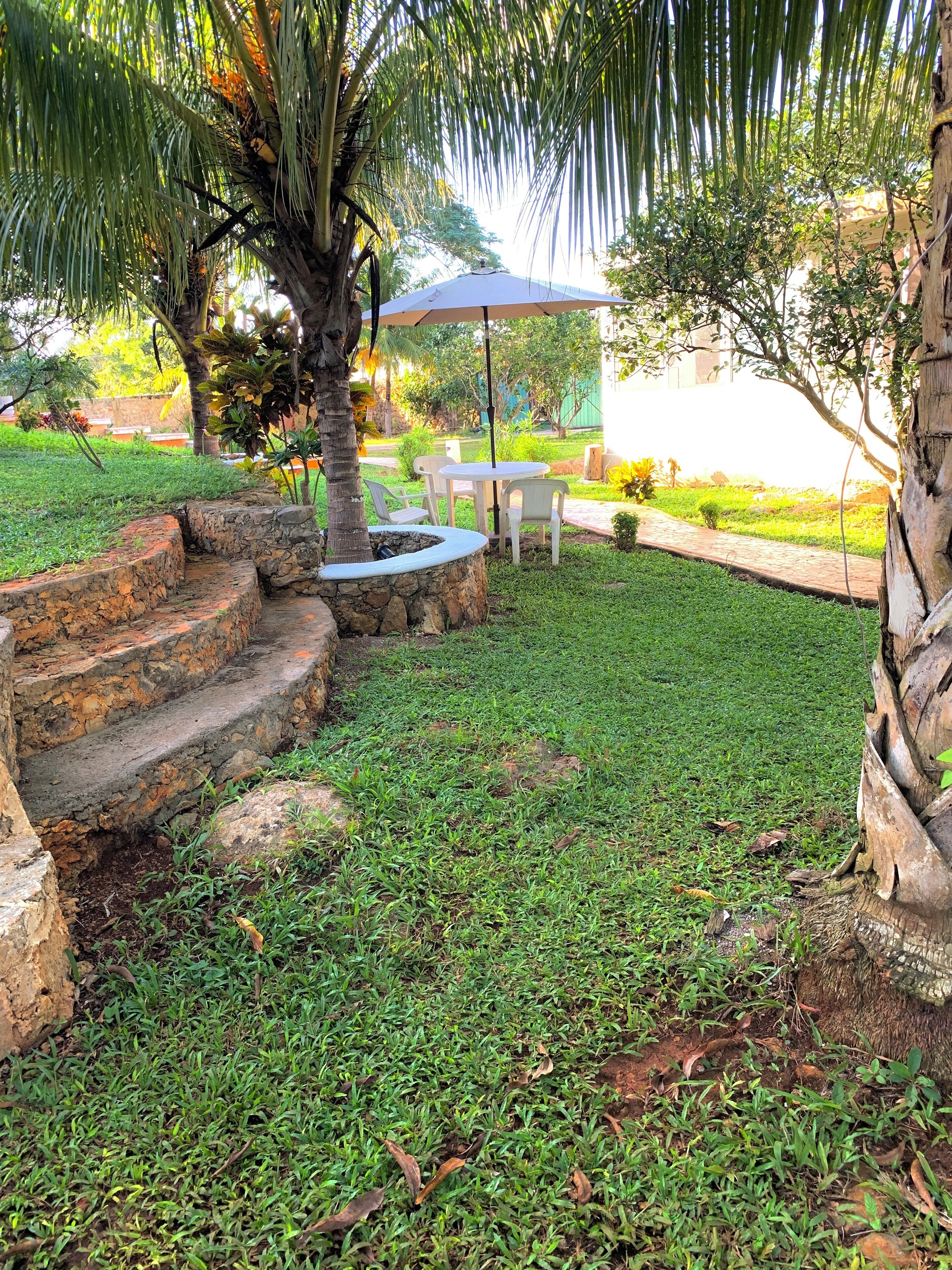 A garden area with a stone bench, a small table with chairs, and a palm tree.