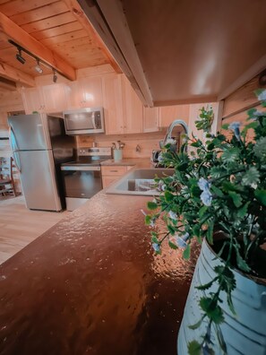 A kitchen with wooden cabinets, stainless steel appliances, and a potted plant. - Ash Ridge Lodge in Hocking Hills (Laurelville)
