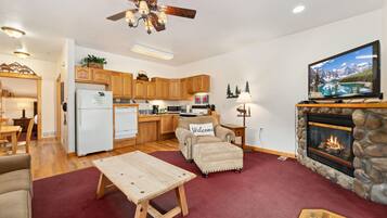 Smart TV, fireplace, DVD player, video library